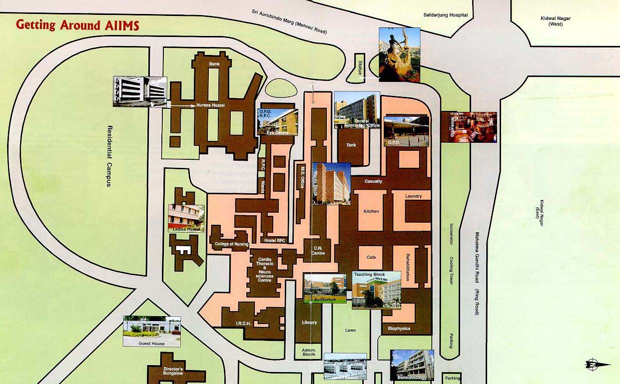 Getting Around AIIMS