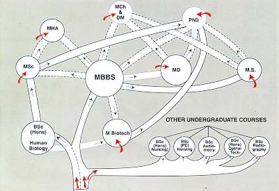 Various Courses Offered By AIIMS